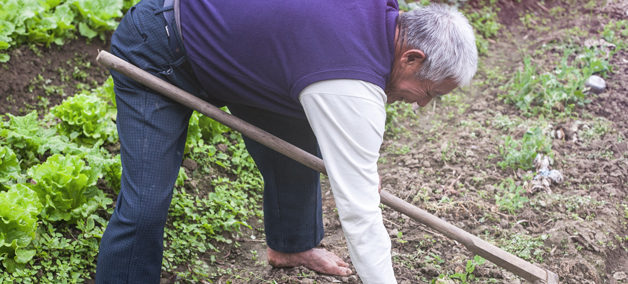 他是75歲的有機老農張忠志，這塊呈現出旺盛生命力的菜田，就是他與太太、兒子努力多年的豐碩成果。